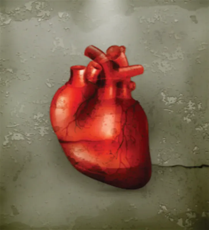 CARDIOLOGY