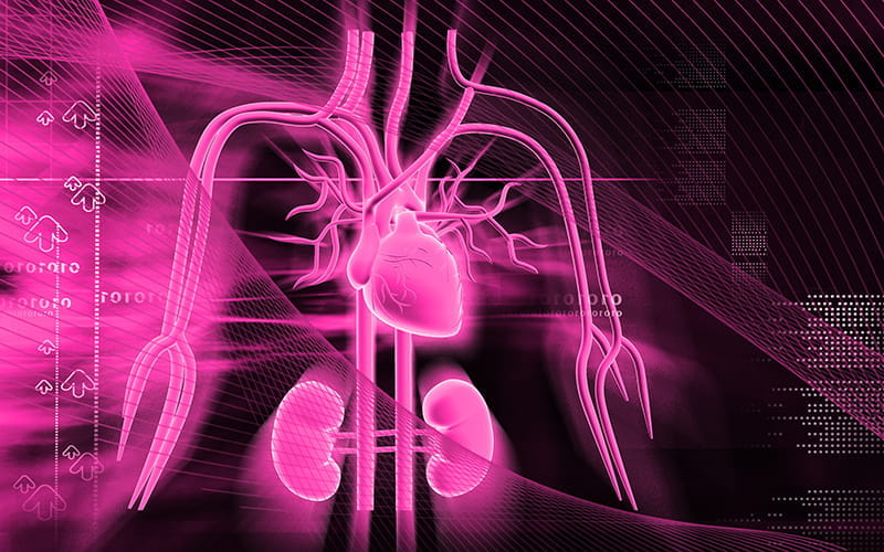 cardiorenal